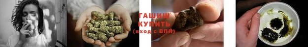 PSILOCYBIN Новозыбков