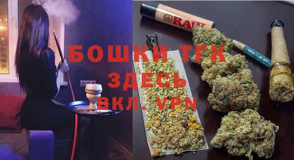 PSILOCYBIN Новозыбков