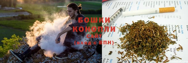 PSILOCYBIN Новозыбков