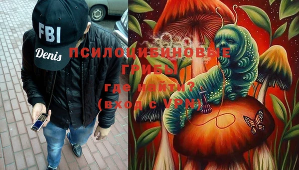 дурь Новодвинск