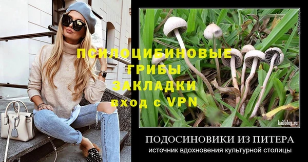 дурь Новодвинск