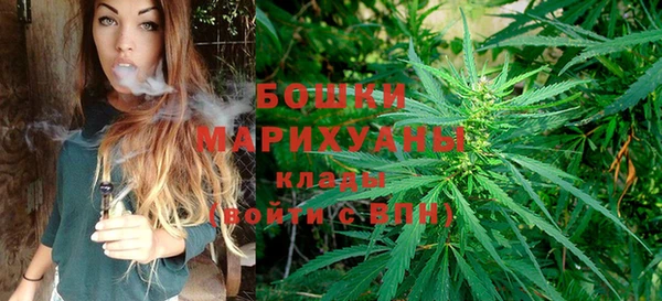 a pvp Болотное