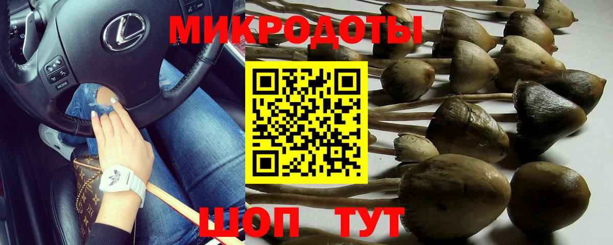 Псков  Галлюциногенные грибы Magic Shrooms  Псилоцибиновые грибы мухоморы  Вход с VPN 